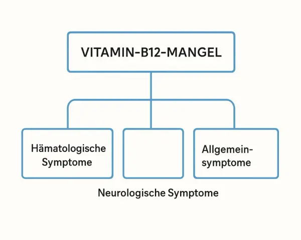 Flussdiagramm zeigt: Vitamin-B12-Mangel mit hämatologischen, neurologischen und allgemeinen Symptomen.