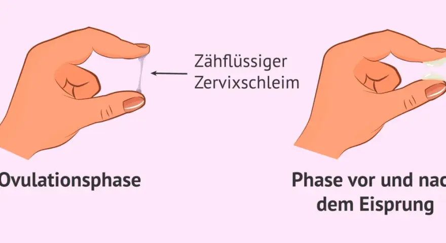 Hände zeigen Zervixschleim: zähflüssig in der Ovulationsphase, klumpig vor und nach dem Eisprung. Ein Einblick in den weiblichen Zyklus.