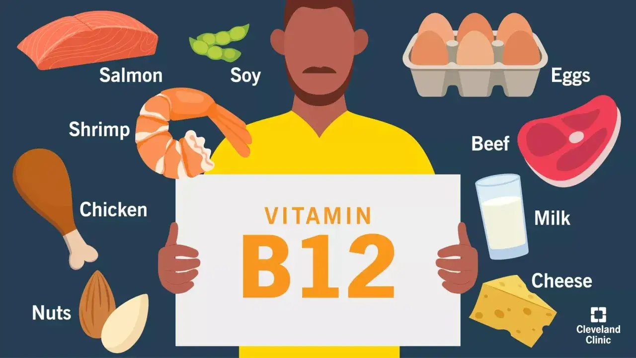 Vitamin B12 Lebensmittel: Lachs, Garnelen, Huhn, Nüsse, Soja, Eier, Rindfleisch, Milch, Käse.