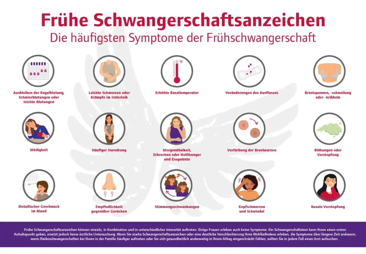 Frühe Schwangerschaftsanzeichen: Müdigkeit, Übelkeit, Brustspannen, veränderter Ausfluss, Kopfschmerzen, Stimmungsschwankungen, Blähungen, metallischer Geschmack, Geruchsempfindlichkeit, häufiger Harndrang, Schmerzen im Unterleib, Nasenverstopfung.