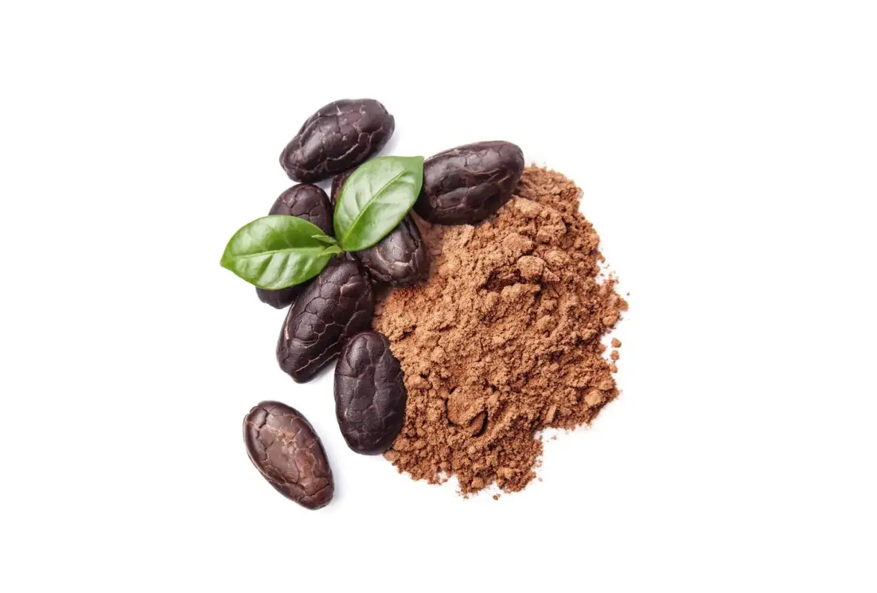 Kakao-Bohnen und Pulver mit grünen Blättern. Ein Beweis dafür, dass kakao gesund sein kann, wenn er in seiner natürlichen Form genossen wird.